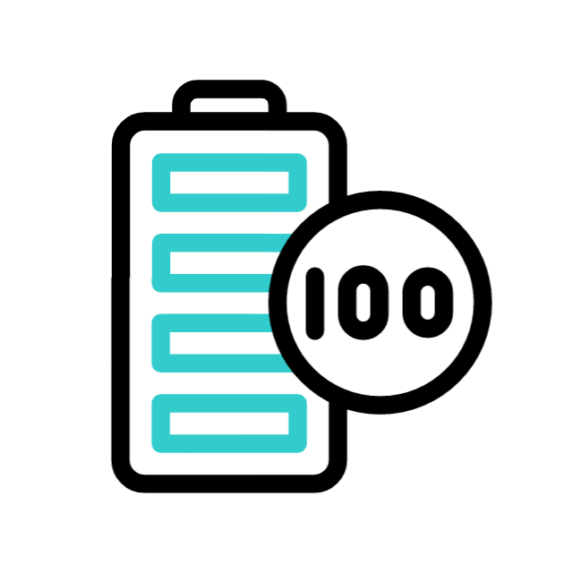 Batterie neuve 100 %